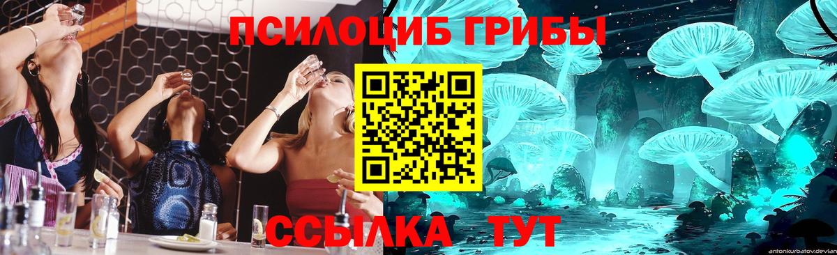 Кимовск  Псилоцибиновые грибы Psilocybine cubensis  Вход с VPN 